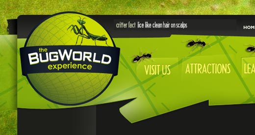6-bugworldexperience
